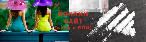 индика Алзамай