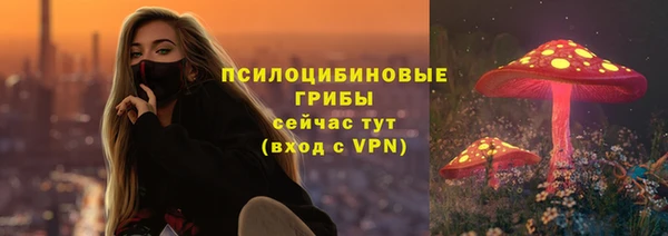 индика Алзамай