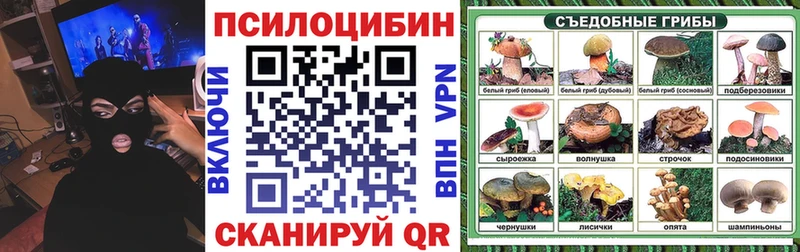 магазин продажи Спасск-Рязанский Галлюциногенные грибы Psilocybe